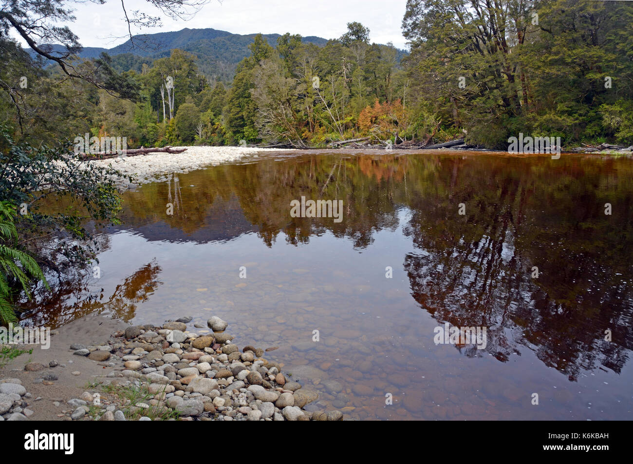 Reflets dans l'eau de l'Oparara River près de Karamea, côte ouest de la Nouvelle-Zélande. Remarque l'incroyable Plateau brun doré couleur de l'eau souillé par Banque D'Images