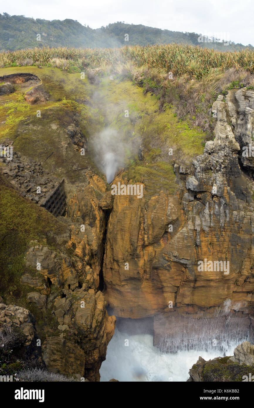 Les roches Punakaiki Blow Hole éclate comme une vague géante de la mer de Tasman se plante dans les rochers sur la côte ouest de la Nouvelle-Zélande. Banque D'Images