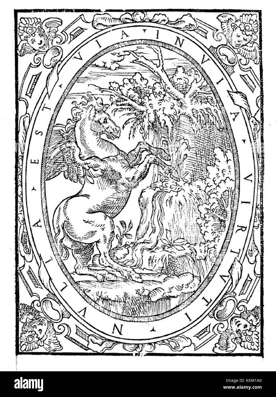 2 Dorico Banque D'Images