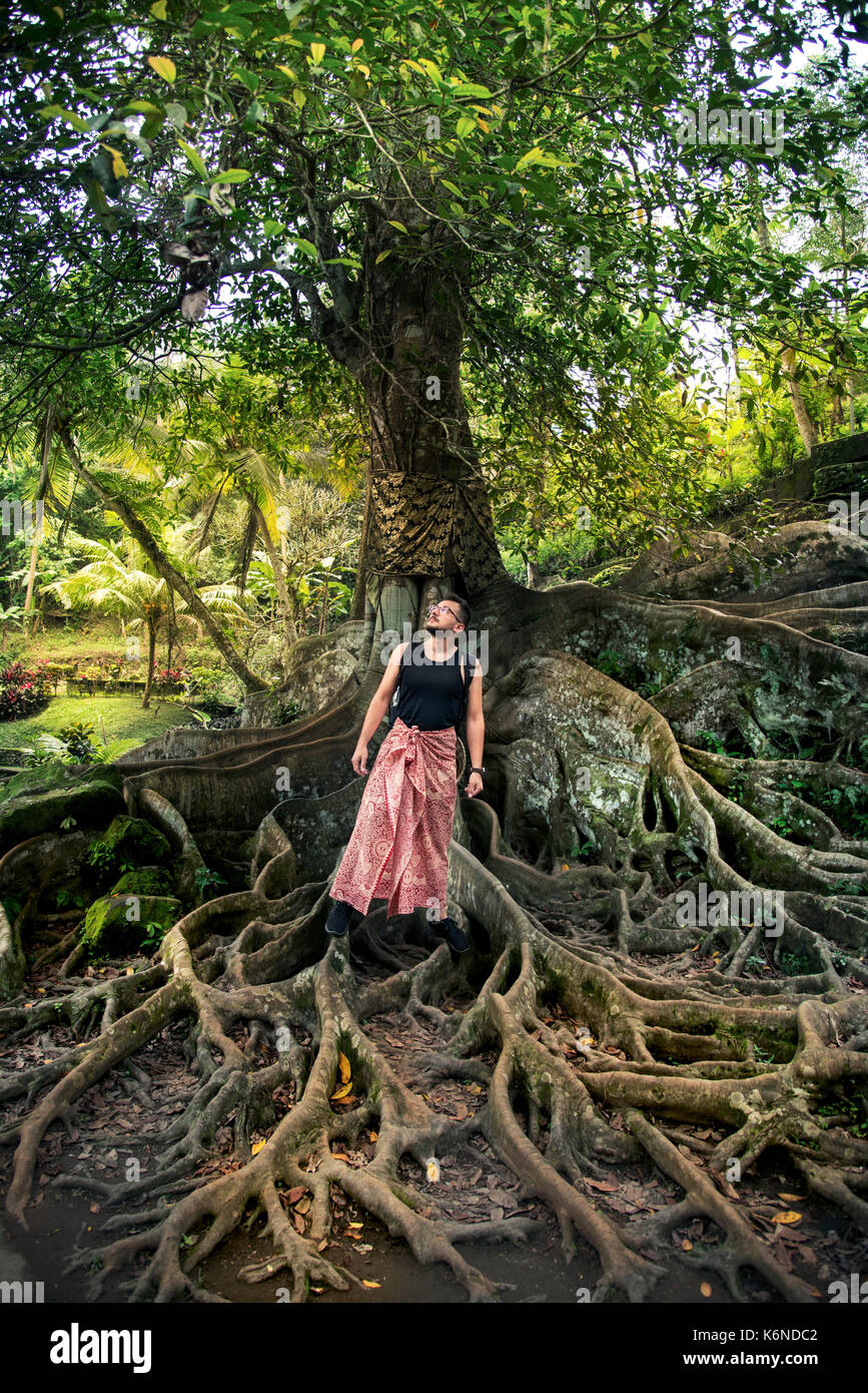 D'énormes racines sur le sol et un homme avec à Goa Gajah sarung temple bali indonesia. Banque D'Images