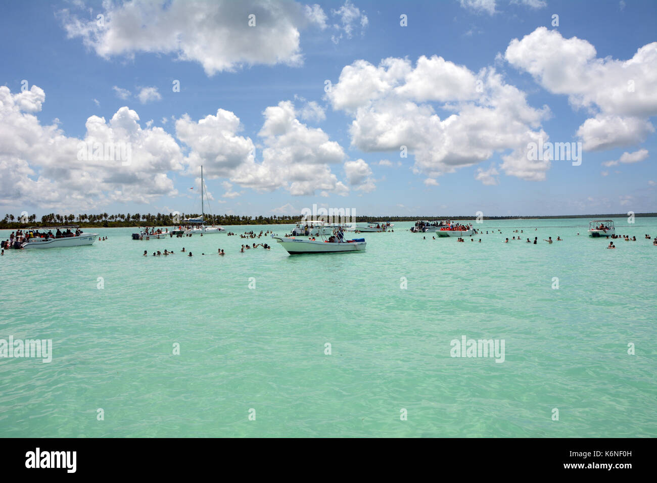 Les vacanciers visitant piscine naturelle - Isla Saona - République dominicaine et l'affichage de la bahama starfish Banque D'Images