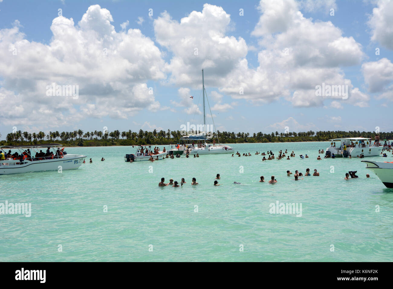 Les vacanciers visitant piscine naturelle - Isla Saona - République dominicaine et l'affichage de la bahama starfish Banque D'Images