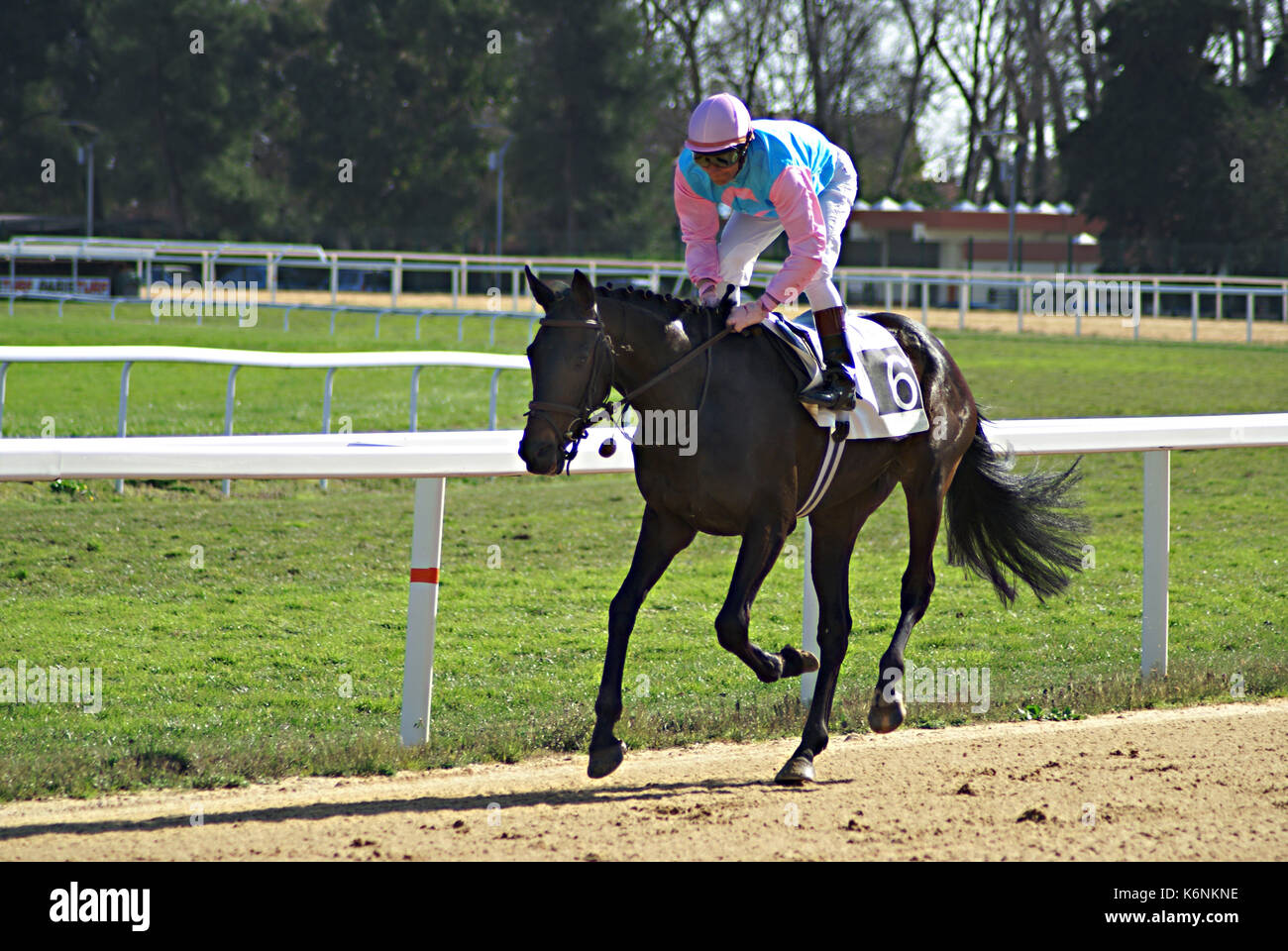Jockey en blouse rose et bleu avant la course Banque D'Images