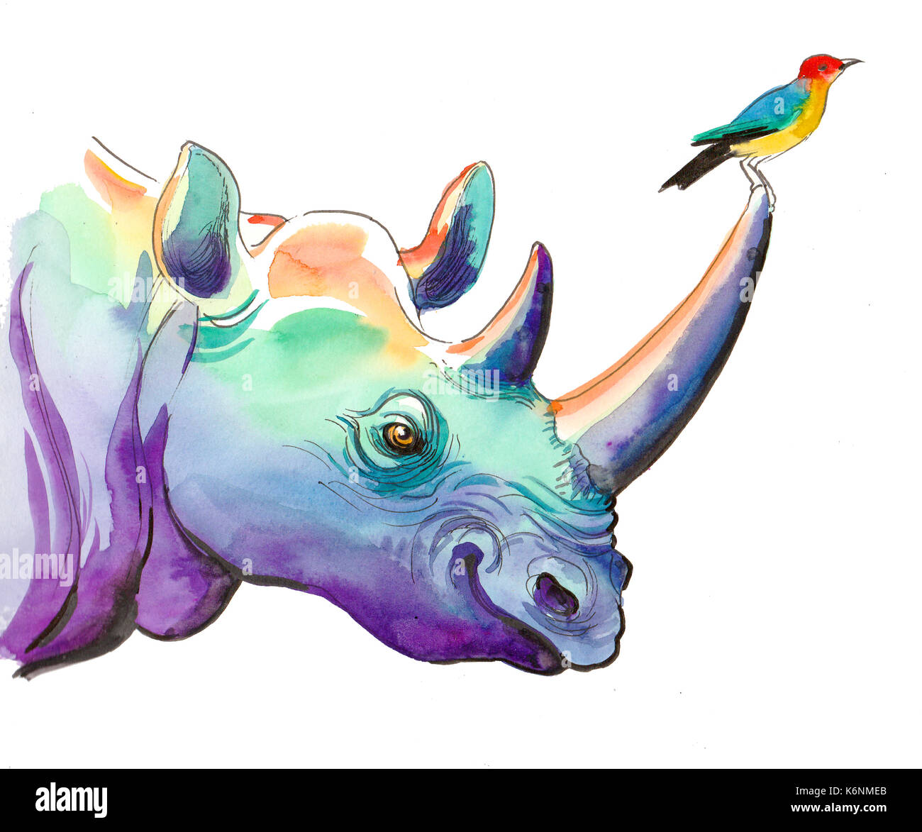 Le rhinocéros et l'oiseau de couleur aquarelle. Banque D'Images