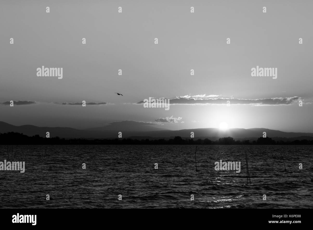 Lac au coucher du soleil, avec une petite silhouette d'une mouette en vol et le soleil bas sur l'horizon Banque D'Images