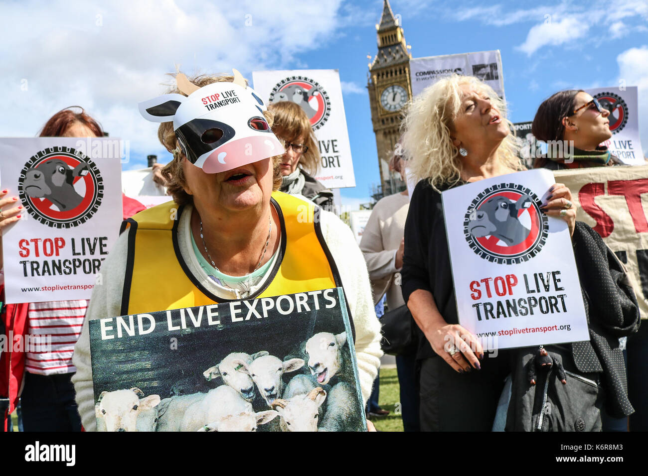 Londres, Royaume-Uni. 13 sep, 2017. Les groupes de défense des droits des animaux a fait campagne dans la place du parlement dans le cadre de la compassion pour l'agriculture mondiale pour mettre en évidence le traitement inhumain et les souffrances de millions d'animaux vivants étant transportés sur des milliers de kilomètres et d'interdire l'exportation d'animaux alors qu'ils sont en crédit d'abattage : amer ghazzal/Alamy live news Banque D'Images