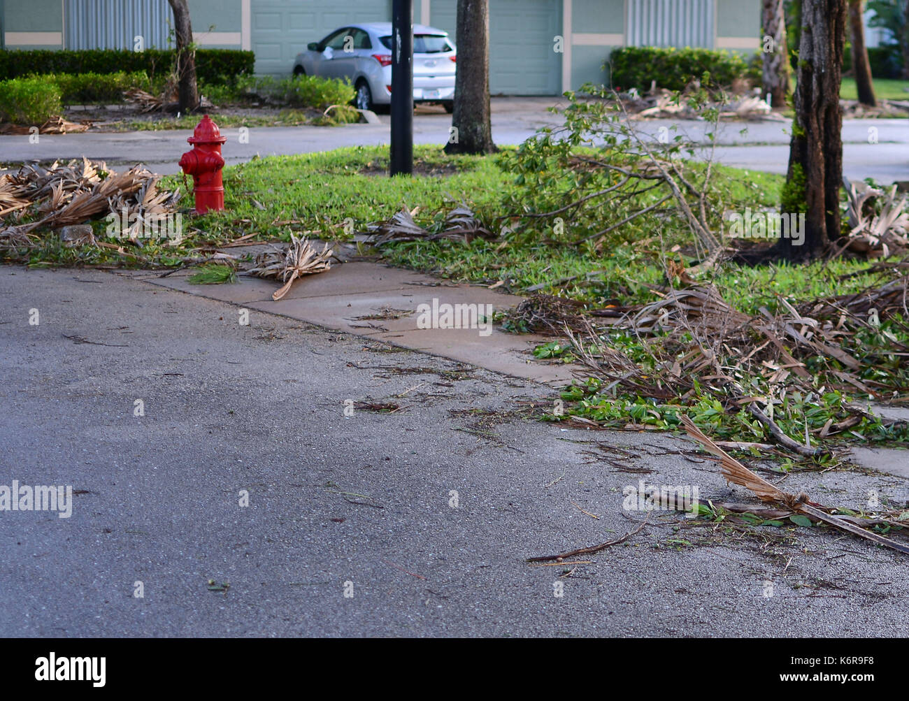 West Palm Beach, FL - sept 11, 2017 : en attente de nettoyage après l'ouragan irma dans un petit quartier en Floride du sud montrant de nombreux arbres tombés et les branches mais pas de dommages structurels Banque D'Images