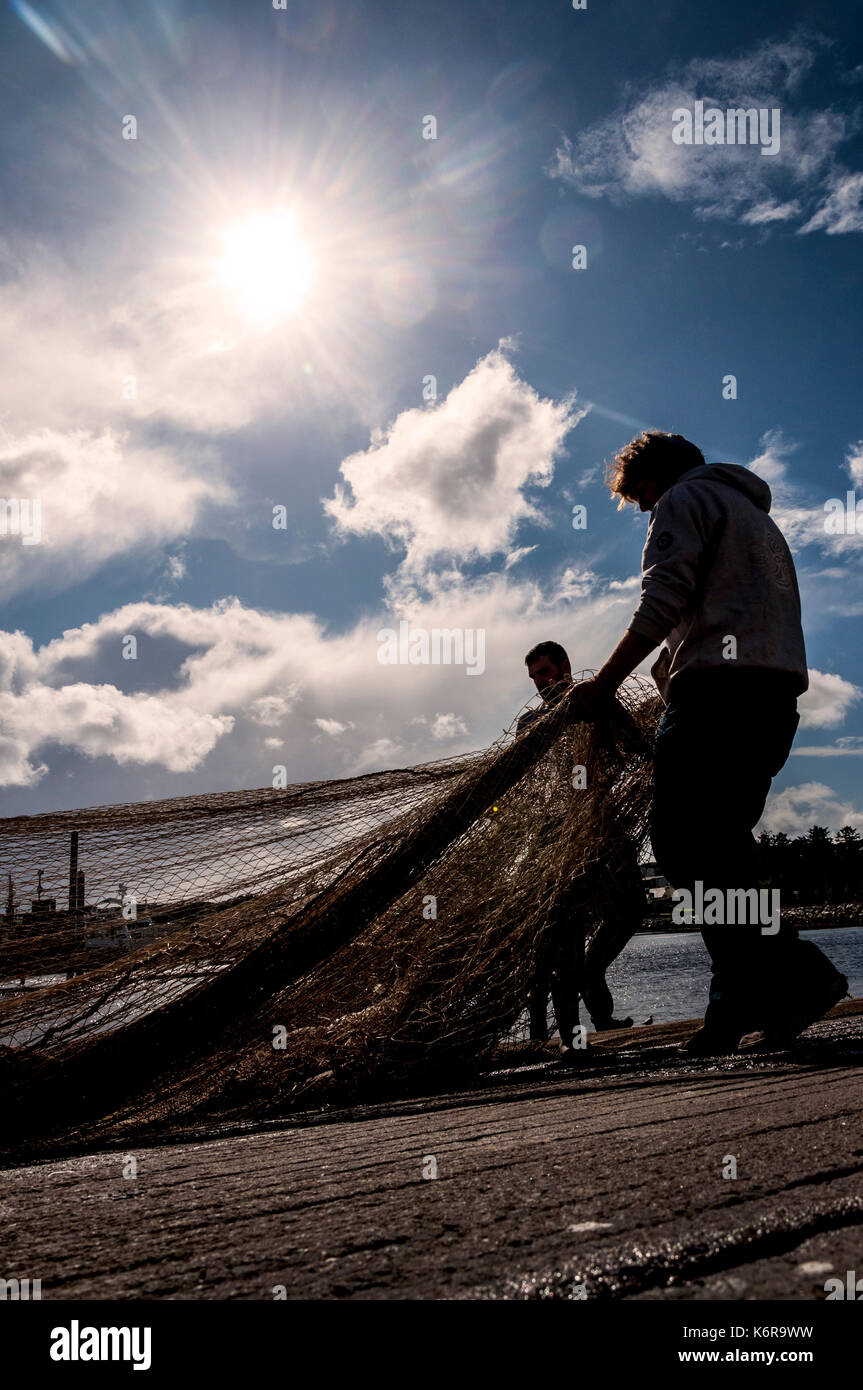 Killybegs, comté de Donegal, Irlande. 13 Sep, 2017. Les pêcheurs en Irlande's premier port de pêche de profiter d'un peu de soleil pour sécher les filets de pêche sur le quai après des semaines de pluies et conditions orageuses. Crédit : Richard Wayman/Alamy Live News Banque D'Images