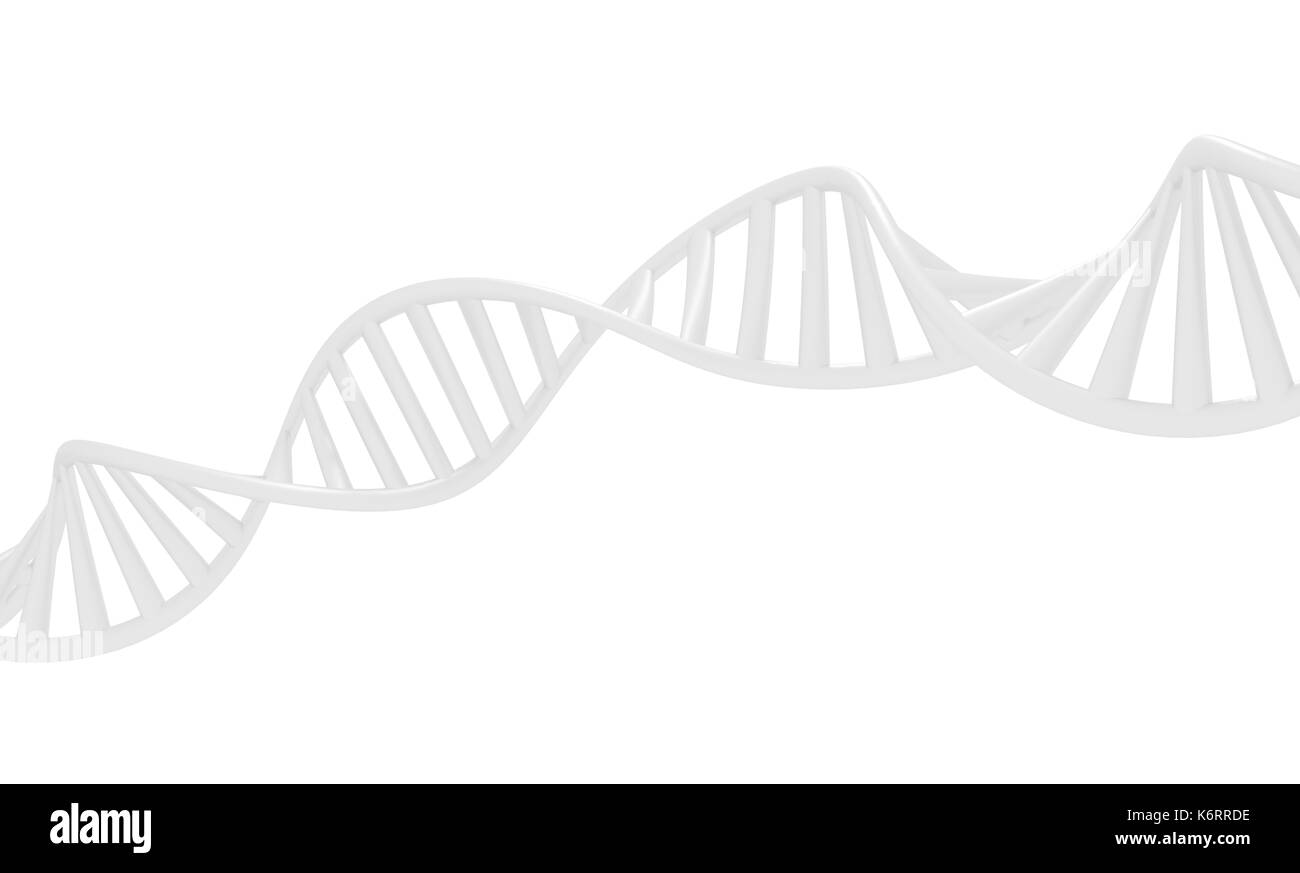 Spirale d'ADN. 3d'ADN isolé sur fond blanc. Le rendu 3d. Banque D'Images