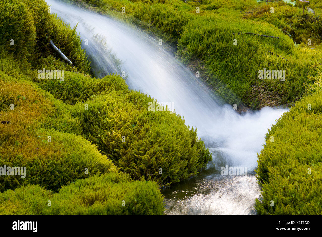 Petite cascade au milieu des roches couvertes de mousse Banque D'Images