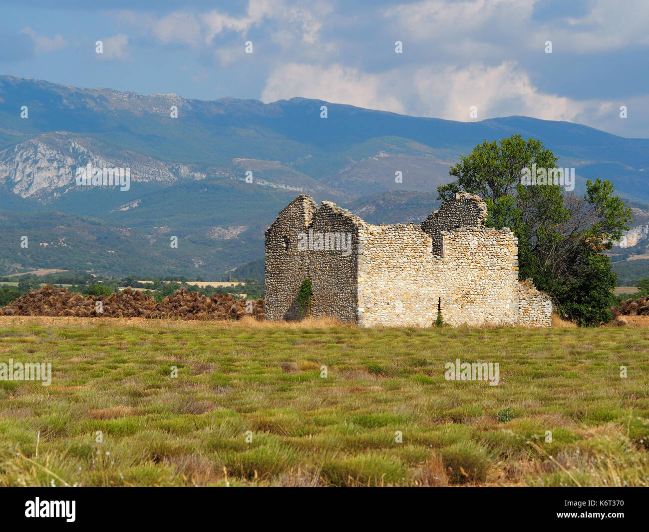 La ruine d'un bâtiment abandonné quelque part dans le sud de la France. Banque D'Images