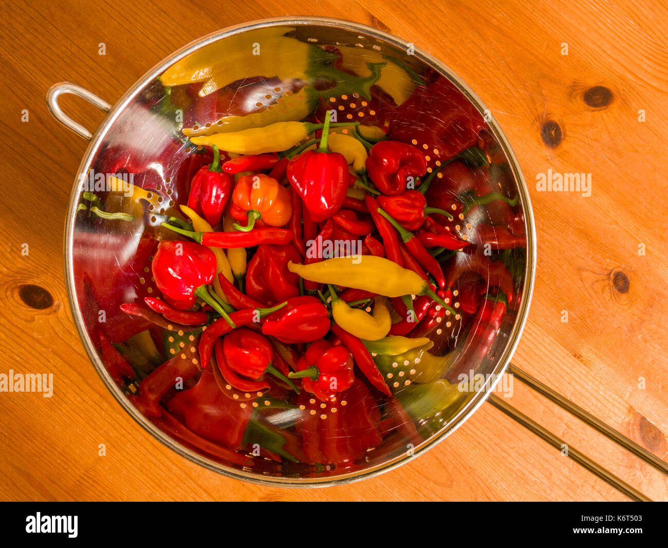 Piments fraîchement récolté (Birds Eye, Aji et limon) Scotch Bonnet dans une passoire de cuisine. Banque D'Images