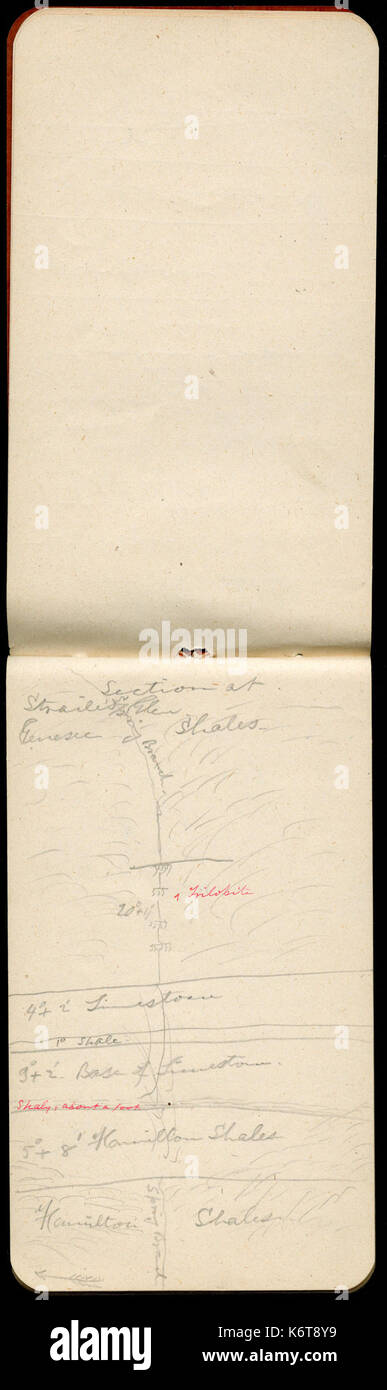 Notes de terrain, 1888, notes de New York (pages 10 et 11) BHL46424262 Banque D'Images