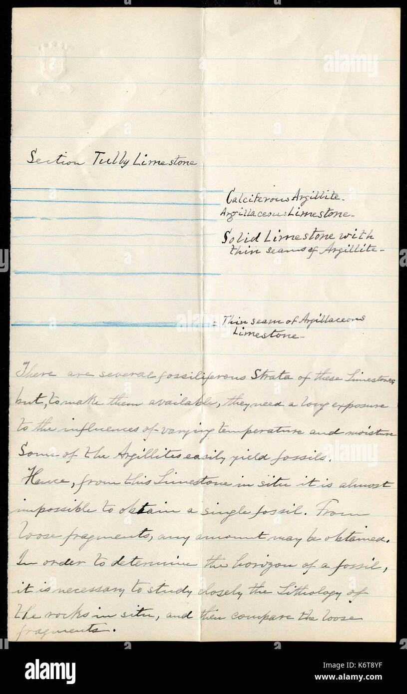 Notes de terrain, 1888, notes de New York BHL46424210 Banque D'Images