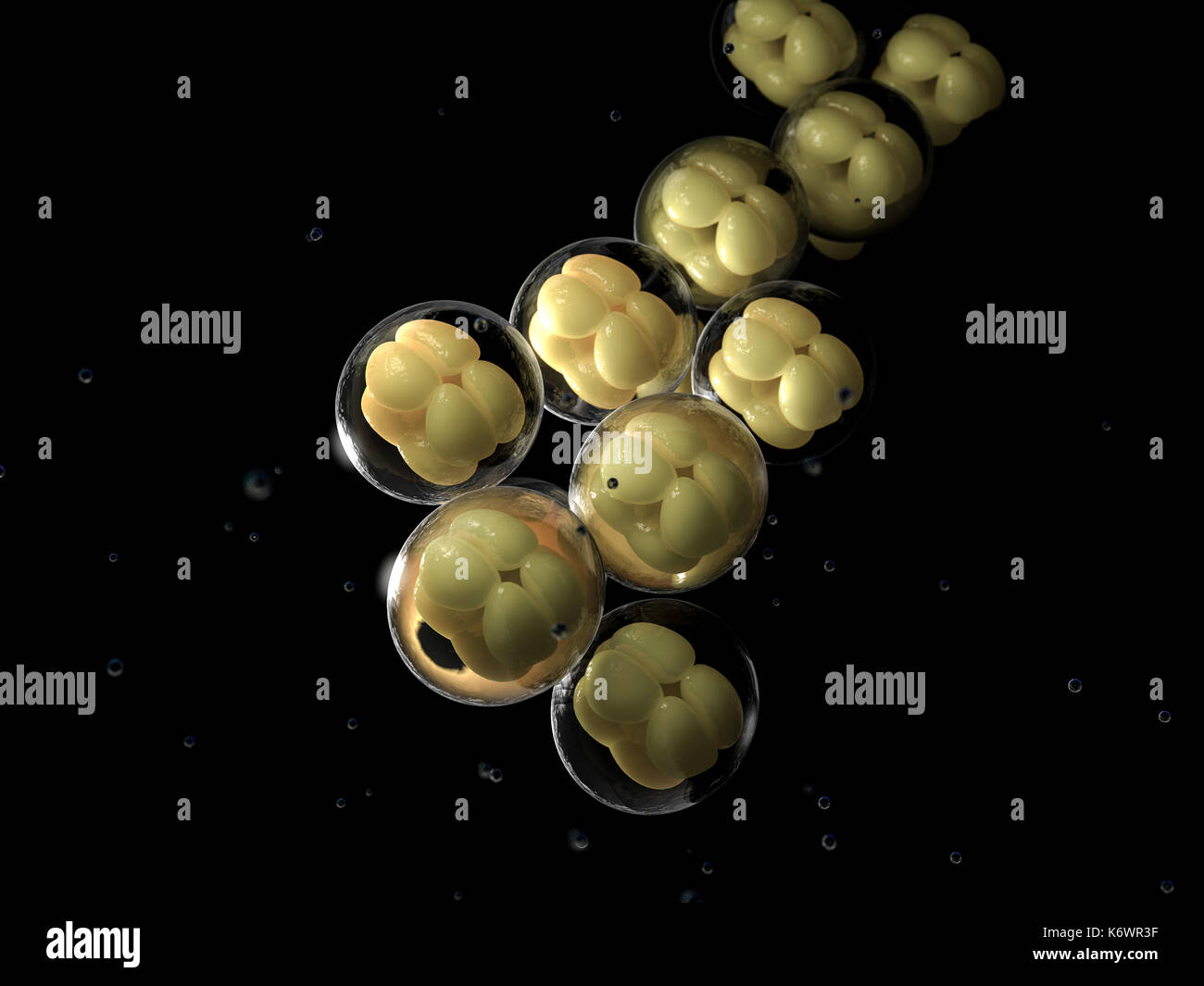 Représentation artistique 3d de la division cellulaire et de la mitose dans la réplication de l'ADN et de cellules. Banque D'Images