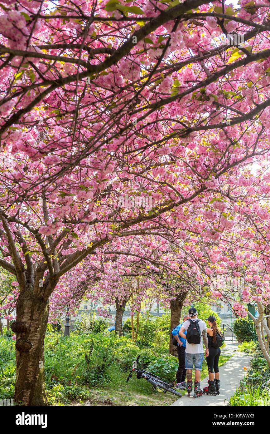 France Paris Quartier Du Marais Marie Trintignant Jardin