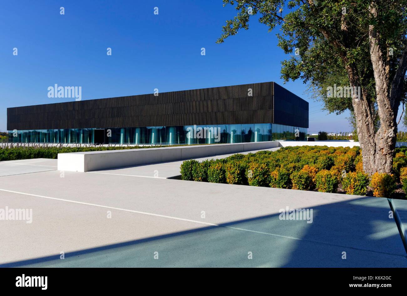 France, Gironde, Pauillac, Château Pedesclaux, Grand Cru Classe, rénové par l'architecte Jean Michel Wilmotte Banque D'Images