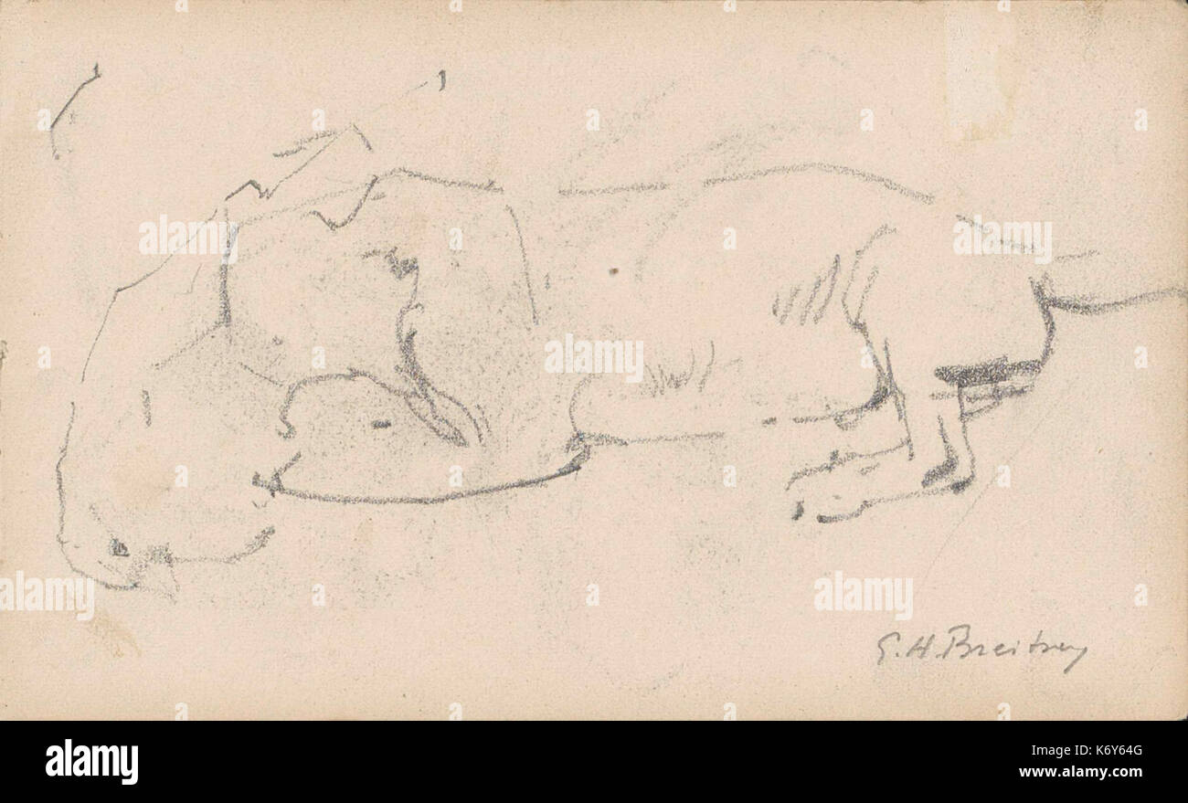 Figure en dierstudies Banque D'Images