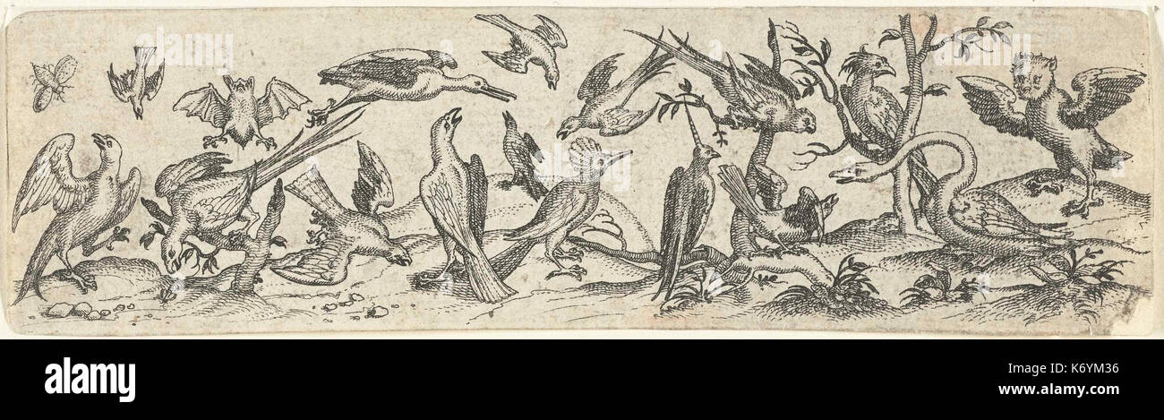 Frites rencontré vogels, waaronder gans en vleesmuis Banque D'Images