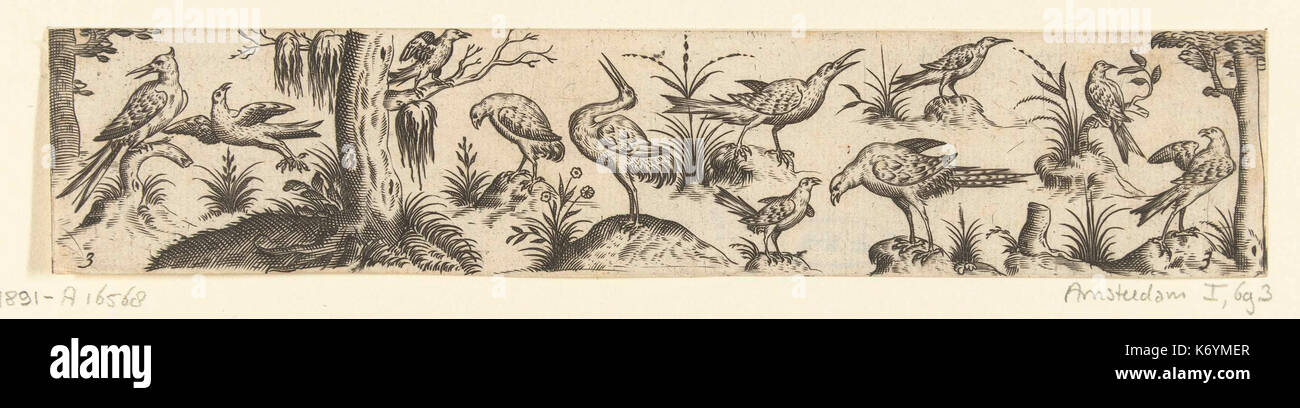 Vogels, Elf a rencontré Fries aan beide uiteinden frites staat van het een boom Banque D'Images