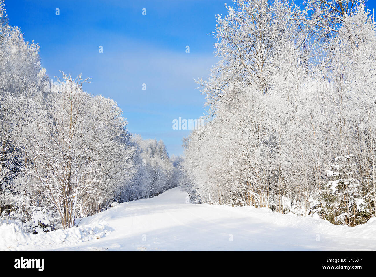 Beau paysage rural d'hiver avec de la neige,forêt,road et ciel bleu par temps clair. paysage enneigé Banque D'Images