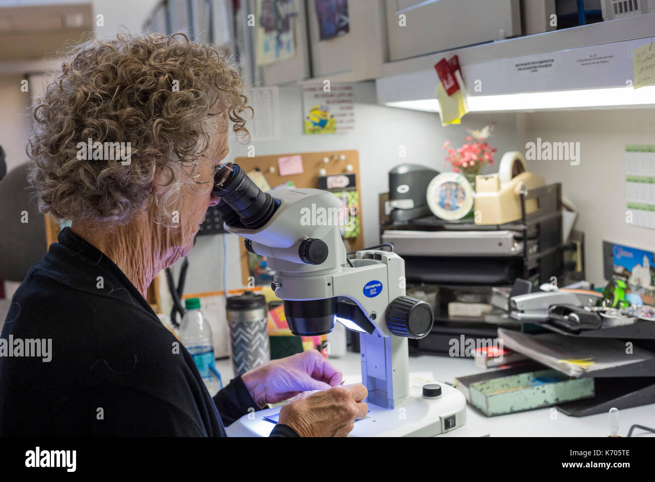 Fort Collins, Colorado - le laboratoire national pour la préservation des ressources génétiques, une unité du département de l'agriculture. sue Varela, un produit biologique Banque D'Images