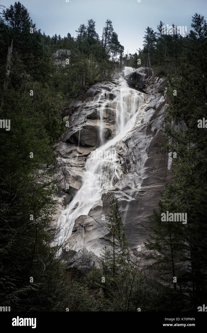 Majestic Shannon Falls, Colombie-Britannique Banque D'Images