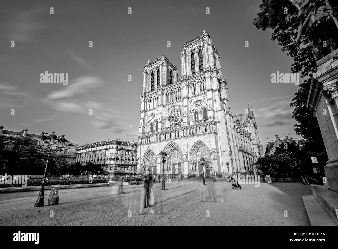 Notre Dame à Paris à l'heure d'or Banque D'Images
