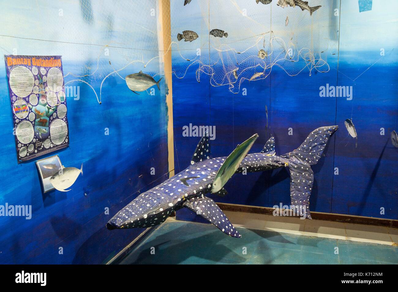 Aux Philippines, l'île de Mindoro, Occidental Mindoro, Municipalité de Sablayan, Sablayan, Musée de la faune marine locale avec le requin baleine Banque D'Images