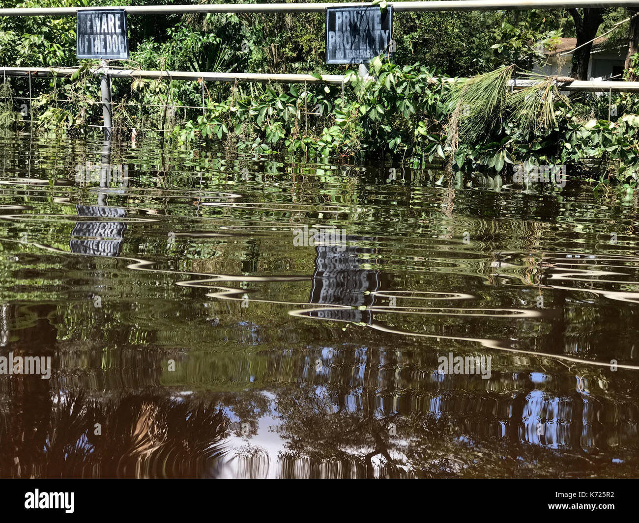 United States. 13 Sep, 2017. Inondation tempête zone endommagée dans Middleburg, en Floride, USA, le 13 septembre 2017 après l'Ouragan Irma a pris un tour inattendu et causé des dégâts et des pannes de courant à grande échelle dans l'état. Credit : Bastiaan Slabbers/Alamy Live News Banque D'Images