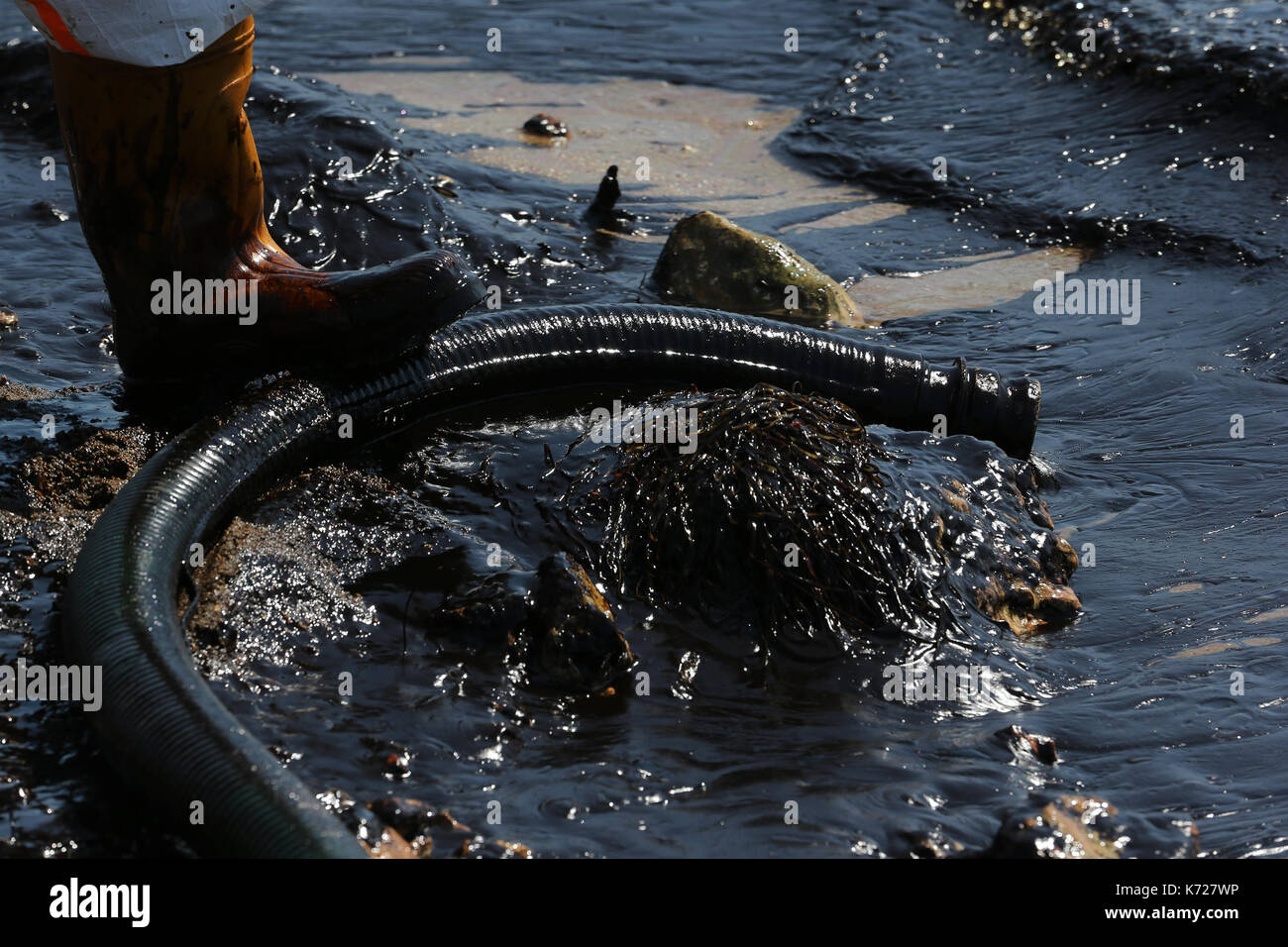 (170914) -- Athènes, sept. 14, 2017 (Xinhua) -- un membre d'équipage prend part à une opération de nettoyage du déversement de pétrole les rives de Glyfada, au sud-est une banlieue d'Athènes, capitale de la Grèce, sur sept. 14, 2017. L'une des grandes opérations de nettoyage qui était en cours jeudi pour traiter un déversement de pétrole qui s'est étendu sur une grande surface du golfe de saros dureront pendant environ trois semaines, la marine grecque ministre panagiotis kouroumblis a dit à une conférence de presse. La crise de l'environnement a éclaté le dimanche après le naufrage du pétrolier "petite agia zoni ii' transportant environ 2 500 tonnes de pétrole, qui a été un Banque D'Images