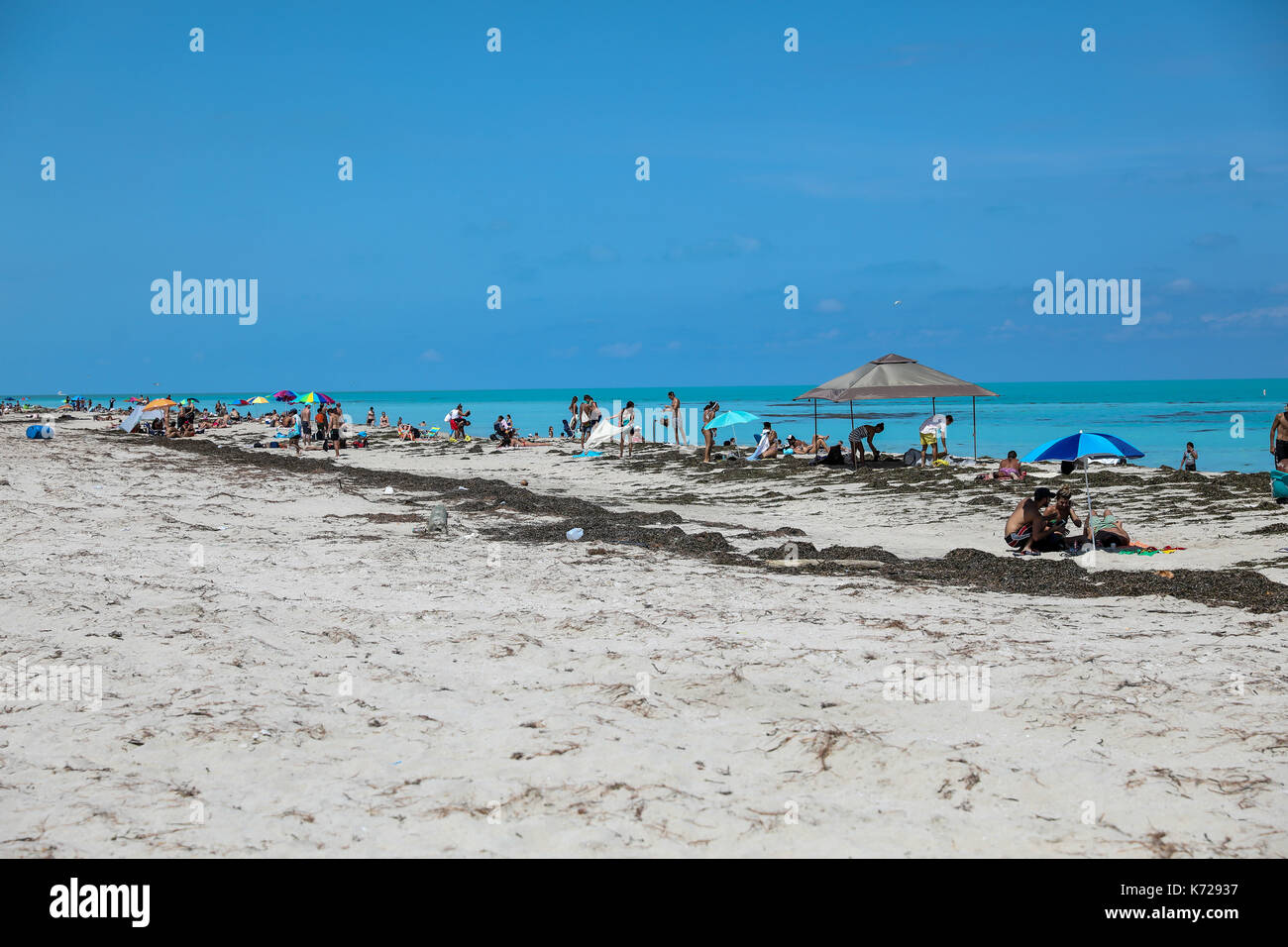 Vue sur une grande quantité de saleté sur la plage de Miami Beach à Miami aux États-Unis ce jeudi 14. (PHOTO: WILLIAM VOLCOV/BRÉSIL PHOTO PRESSE) Banque D'Images