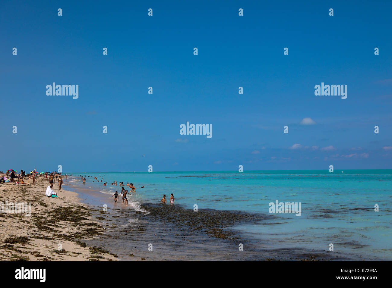 Vue sur une grande quantité de saleté sur la plage de Miami Beach à Miami aux États-Unis ce jeudi 14. (PHOTO: WILLIAM VOLCOV/BRÉSIL PHOTO PRESSE) Banque D'Images