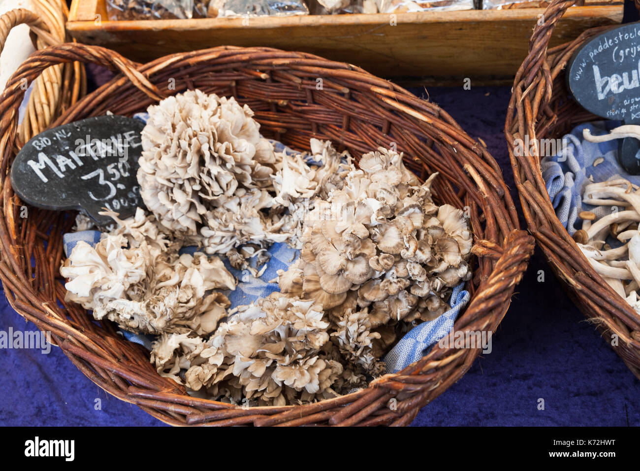 Amsterdam, Pays-Bas - 25 février 2017 : Grifola frondosa, polypore champignons. marchandises du marché plein air noordermarkt avec les vendeurs de vendre un tableau Banque D'Images