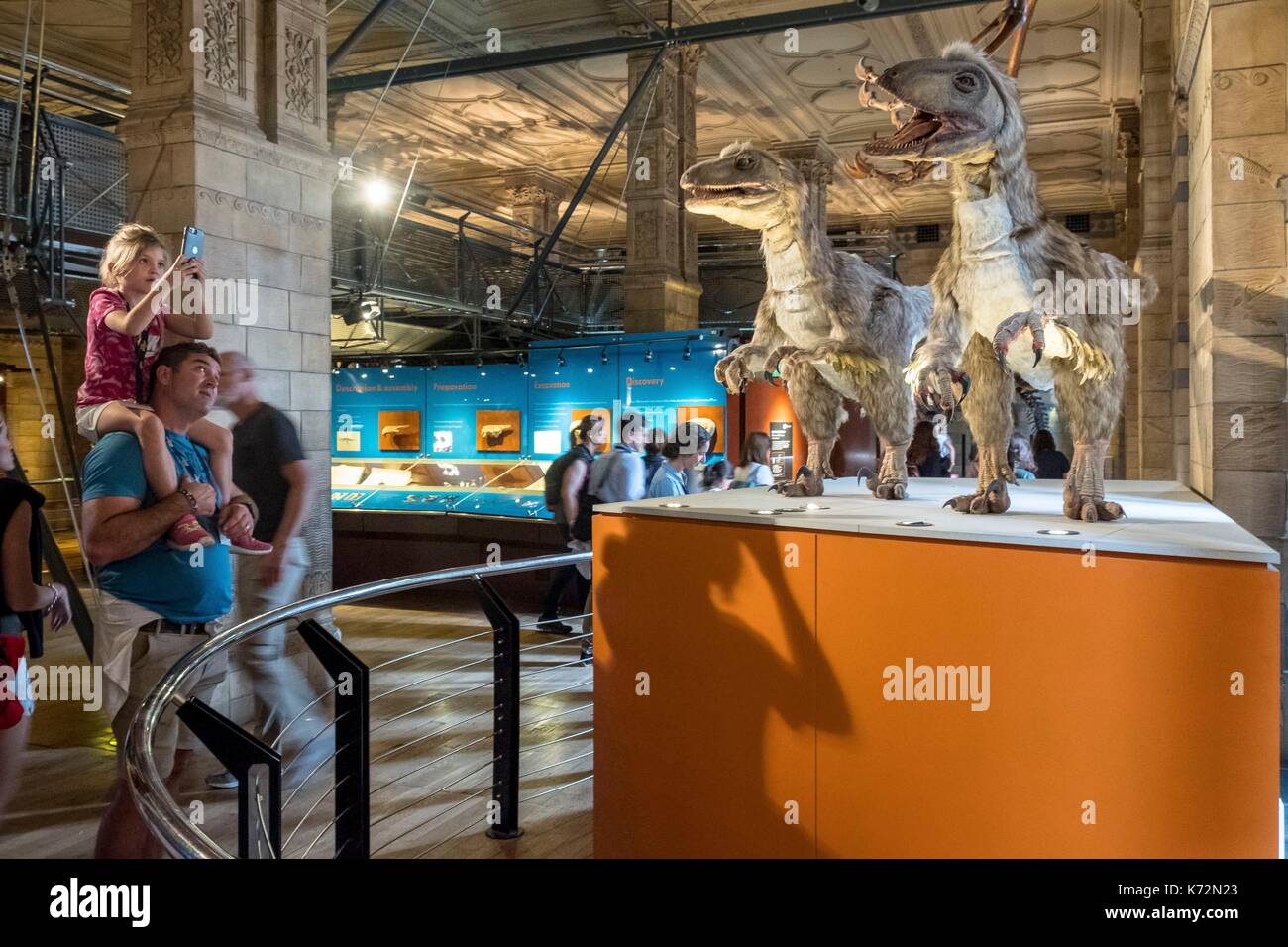 Royaume-uni, Londres, Musée d'Histoire Naturelle, zone bleue, galerie des dinosaures Banque D'Images