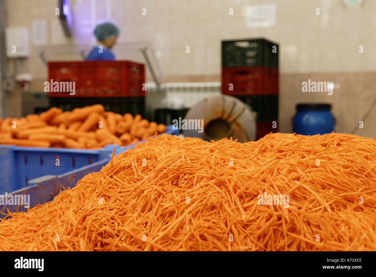 Saint-pétersbourg, Russie - 28 Février 2017 : carottes râpées dans une usine de transformation des aliments. L'usine de cornichons Maison participe à l'échelon régional q Banque D'Images