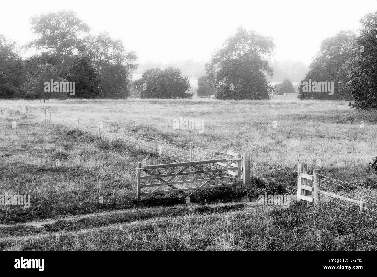 Une grille ouverte dans un pré en Angleterre Banque D'Images