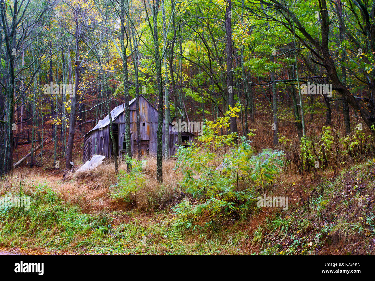Vue d'une télécommande et délabrées chalet dans les bois dans les régions rurales de Géorgie, USA Banque D'Images