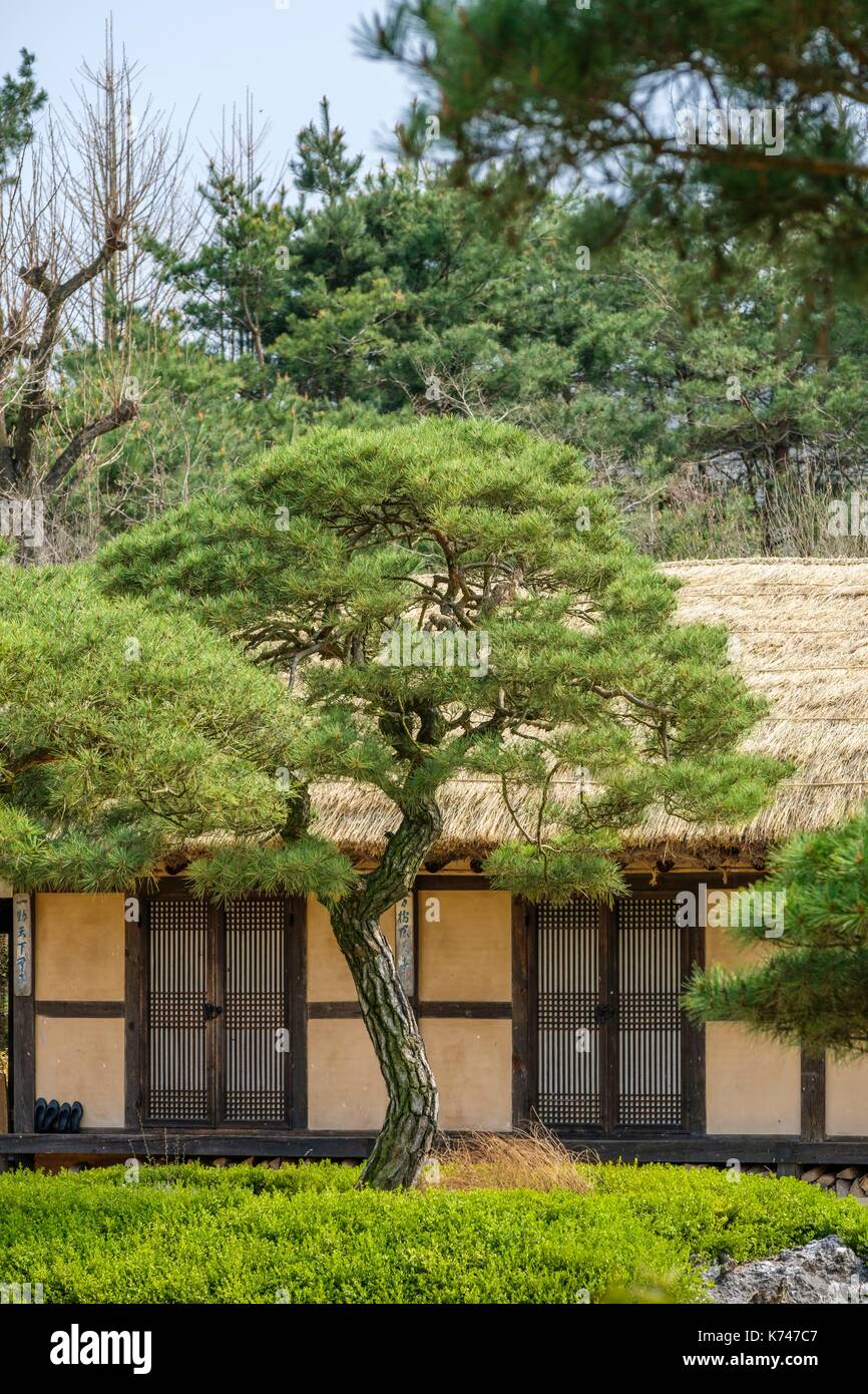 La Corée du Nord, la province de Gyeongsang, Andong Hahoe, Village Historique (UNESCO World Heritage site) fondée au 14e-15e siècles reflète la culture confucéenne aristocratique de la dynastie Joseon (1392-1910) Banque D'Images
