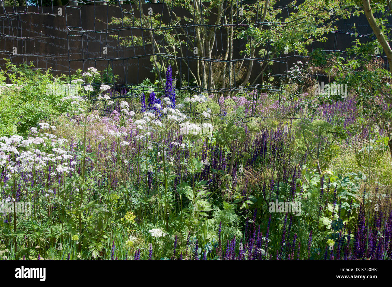 Briser le rez-de-jardin à RHS Chelsea Flower Show 2017 Banque D'Images