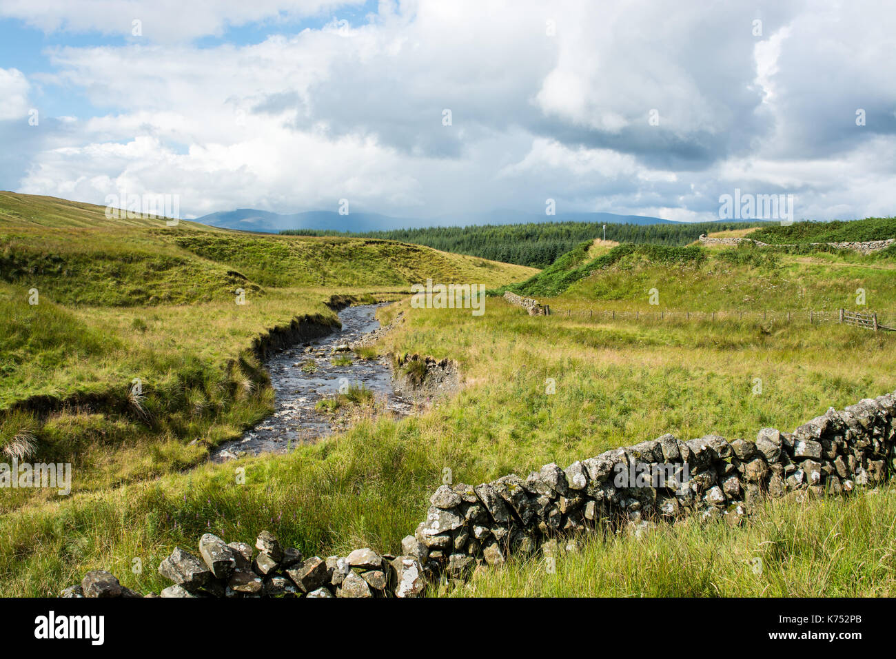 Galloway Forest Park avec un ciel dramatique Banque D'Images