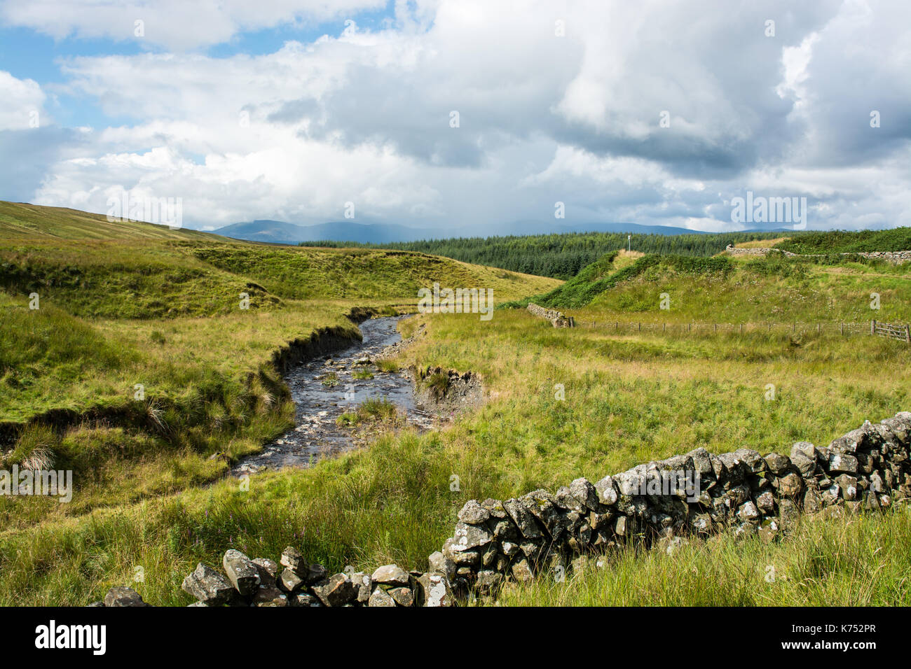 Galloway Forest Park avec un ciel dramatique Banque D'Images