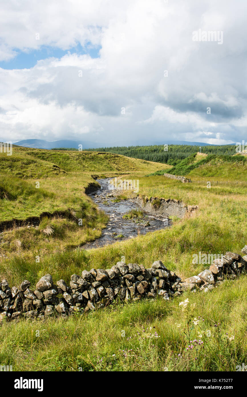 Galloway Forest Park avec un ciel dramatique Banque D'Images