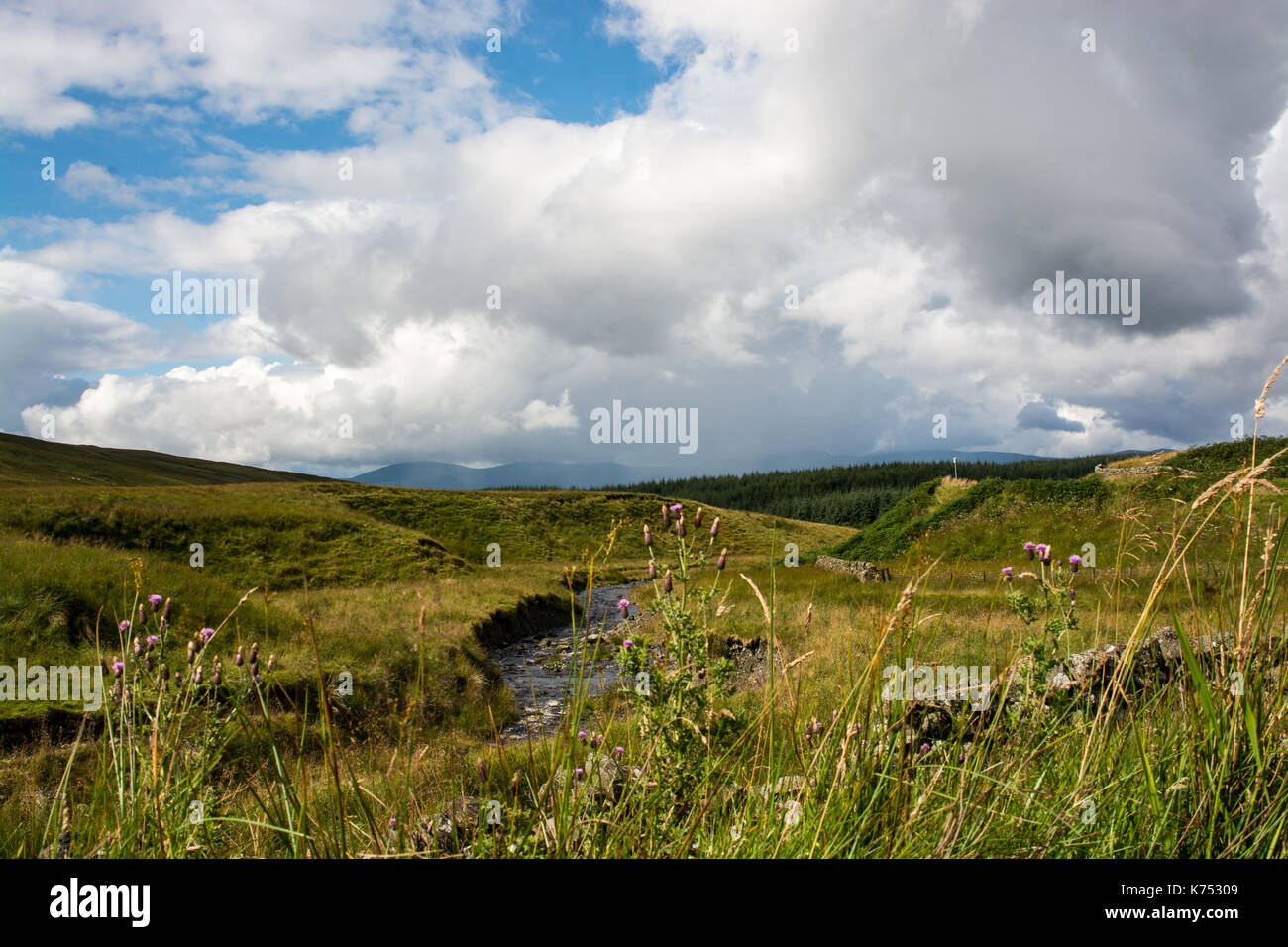 Galloway Forest Park avec un ciel dramatique Banque D'Images