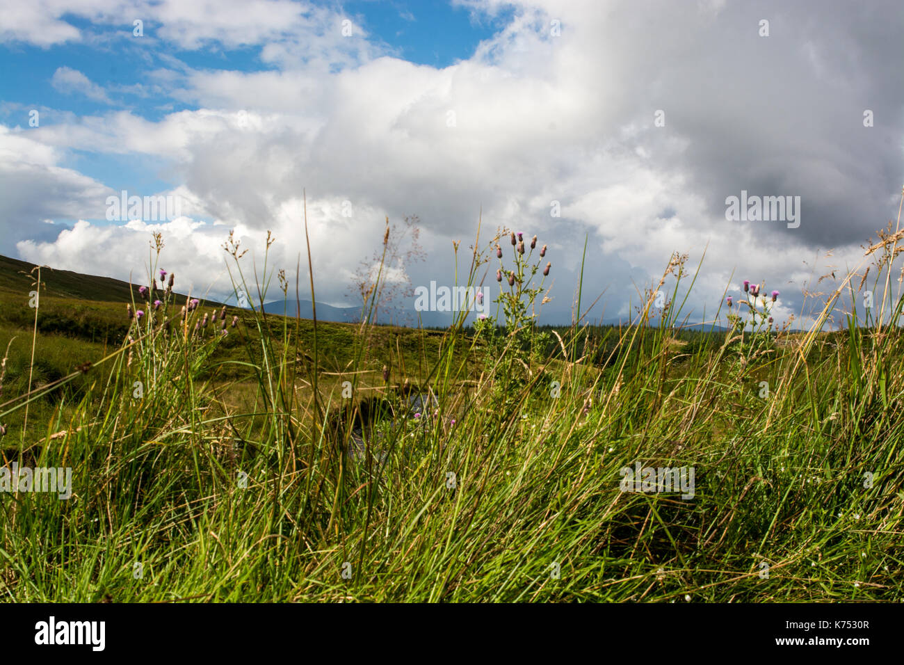 Galloway Forest Park avec un ciel dramatique Banque D'Images