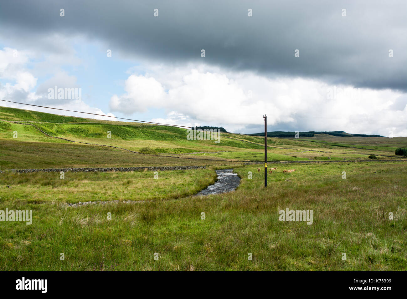 Galloway Forest Park avec un ciel dramatique Banque D'Images