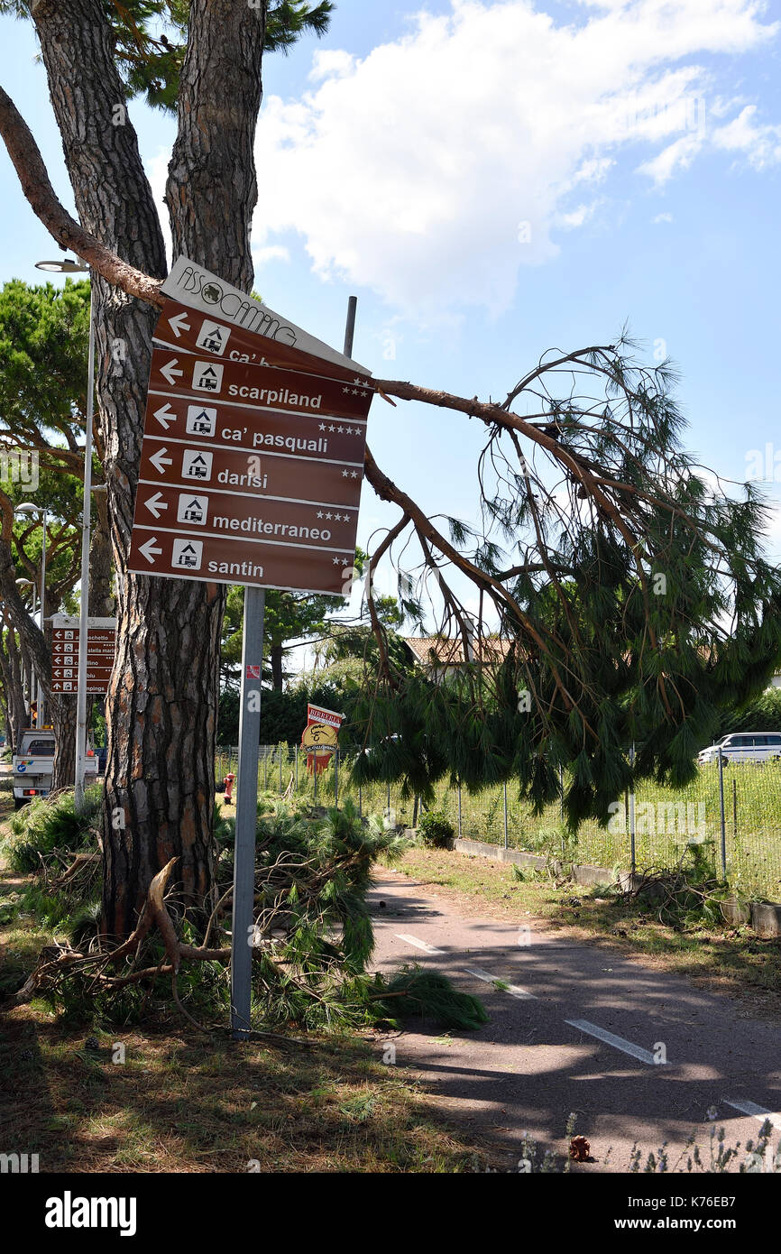 Signe de destruction camping après la tempête tornade dommages aux arbres de rue Banque D'Images