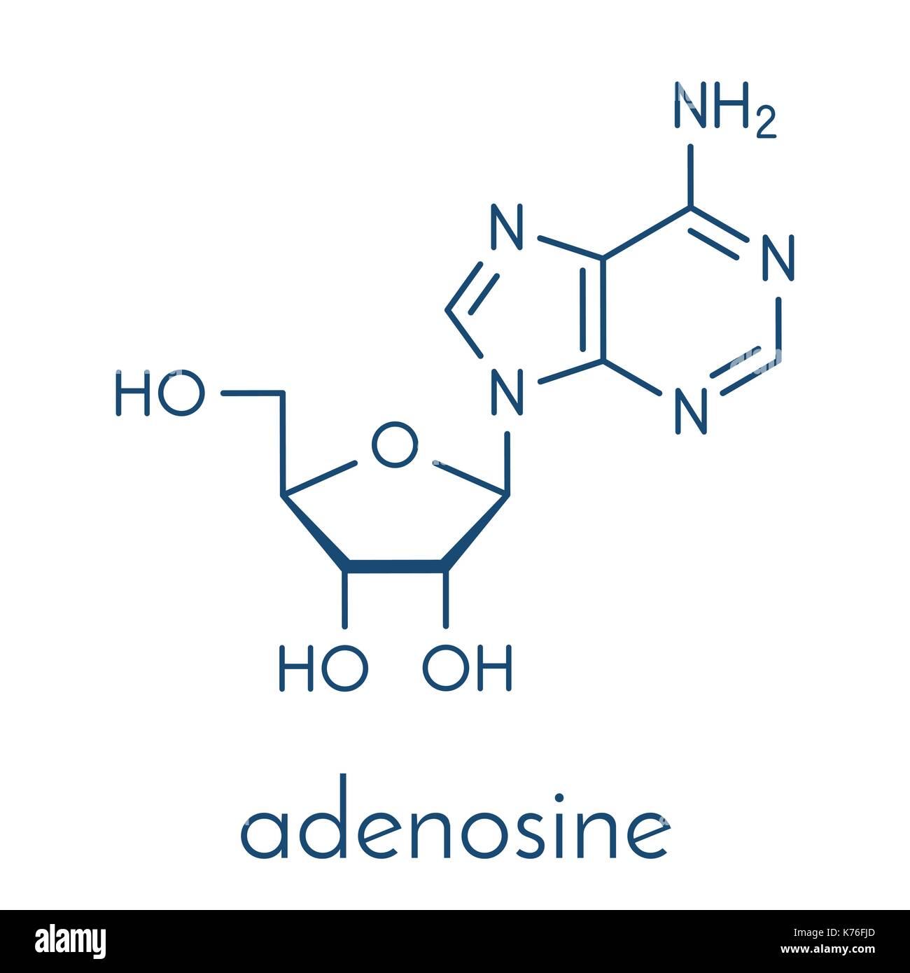 L'adénosine (Ado) de la purine nucléoside molécule. composante importante de l'ATP, ADP, camp et de l'arn. Également utilisé comme médicament. formule topologique. Illustration de Vecteur