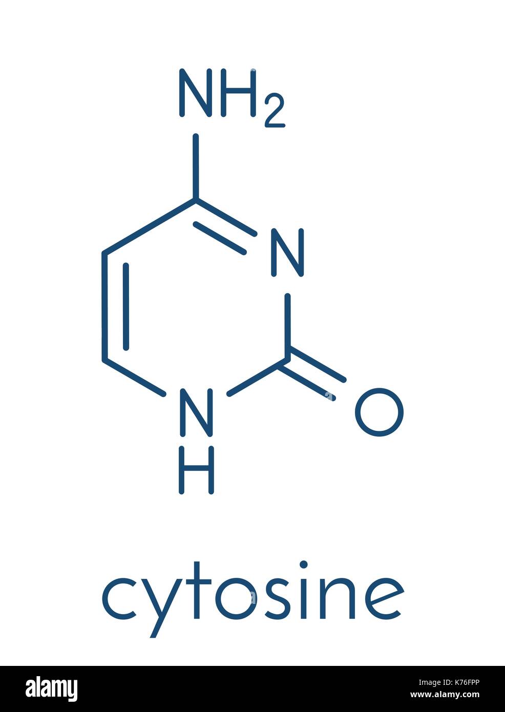 La cytosine nucléobase pyrimidine. composant l'une des bases dans l'ADN et l'arn. formule topologique. Illustration de Vecteur