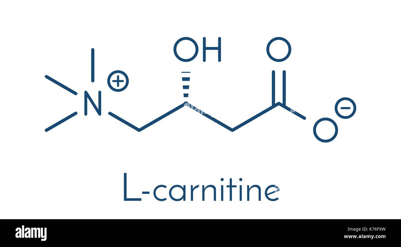 Complément alimentaire carnitine molécule, structure chimique formule topologique. Illustration de Vecteur